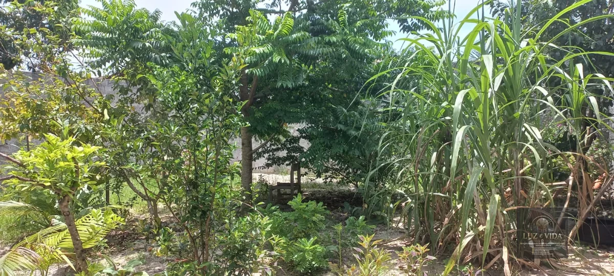 Casa a venda um ótimo imóvel