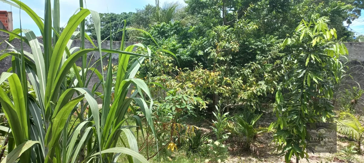 Casa a venda um ótimo imóvel