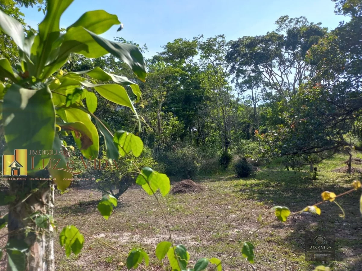 Venda dessa área com casas dentro