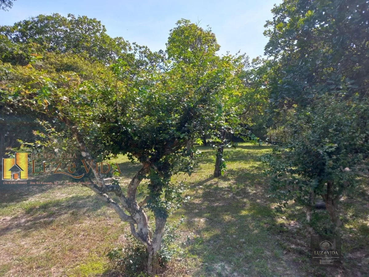 Belíssimo Sítio a venda no Centro Hípico